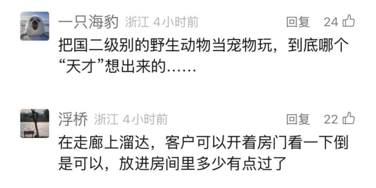 3000元/晚的酒店, 这项服务被紧急叫停! 有人在房内被咬伤……