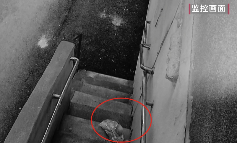 汁水横流、一片狼藉!楼上频繁深夜“空投”垃圾,贵阳大姐崩溃:有家难回! 汁水横流、一片狼藉!楼上频繁深夜“空投”垃圾,贵阳大姐崩溃:有家难回!