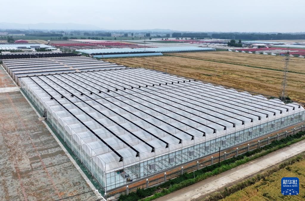 河北卢龙:发展设施农业促农增收 河北卢龙:发展设施农业促农增收