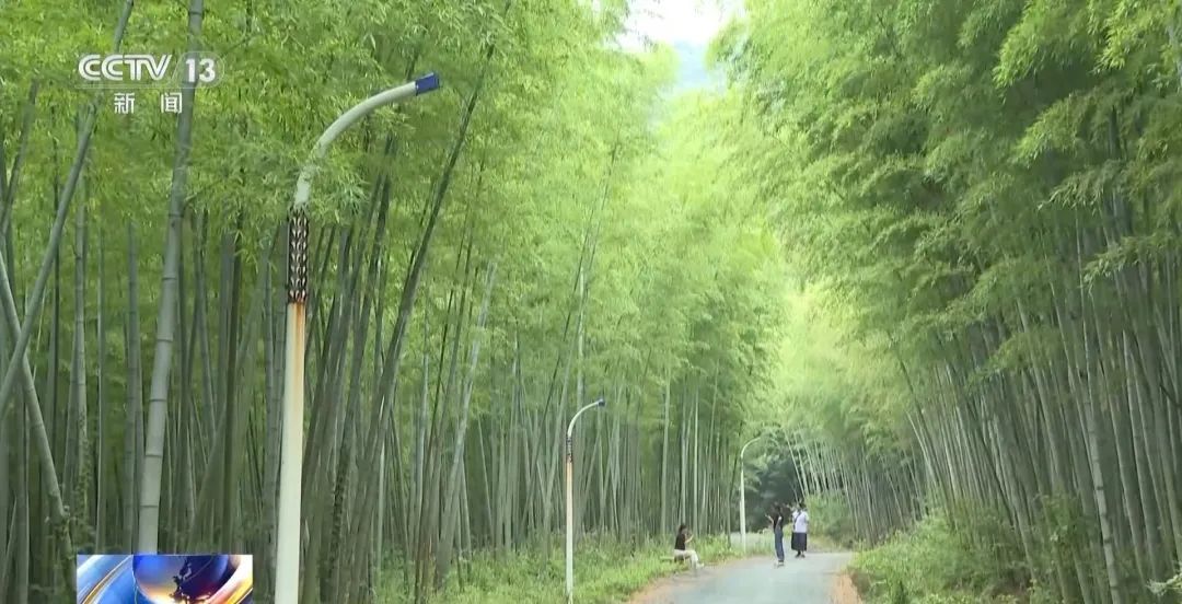 景区“月均6万元收编泼猴”引关注“人猴冲突”如何解决？