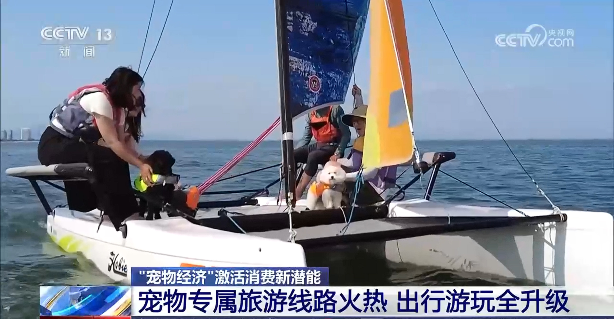 @爱宠人士 出行游玩全升级 快来开启“携宠出行”新体验 @爱宠人士 出行游玩全升级 快来开启“携宠出行”新体验