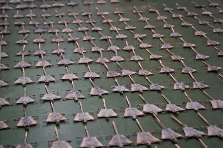 货物外包装破旧且散发浓烈异味,海关查获濒危大壁虎制品4131件 货物外包装破旧且散发浓烈异味,海关查获濒危大壁虎制品4131件