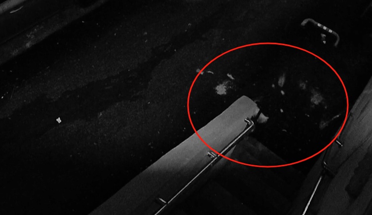 汁水横流、一片狼藉!楼上频繁深夜“空投”垃圾,贵阳大姐崩溃:有家难回! 汁水横流、一片狼藉!楼上频繁深夜“空投”垃圾,贵阳大姐崩溃:有家难回!