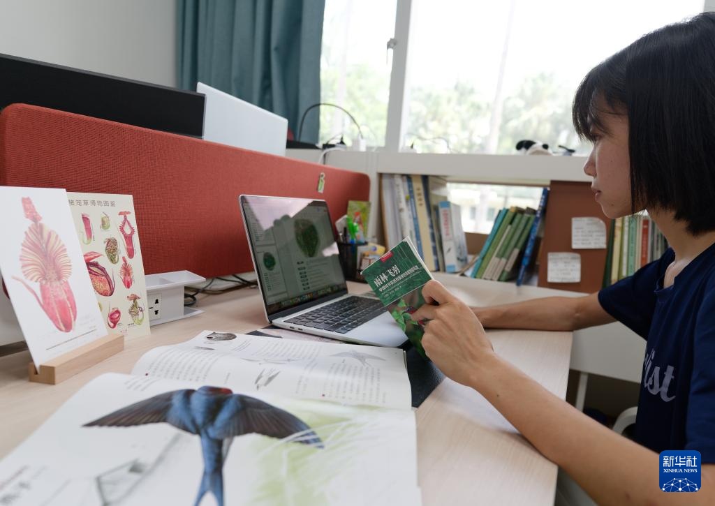 热带雨林里的飞羽精灵和它们的守护者 热带雨林里的飞羽精灵和它们的守护者
