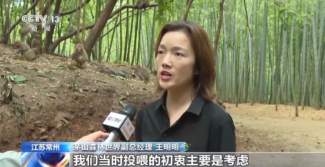 景区“月均6万元收编泼猴”引关注“人猴冲突”如何解决？