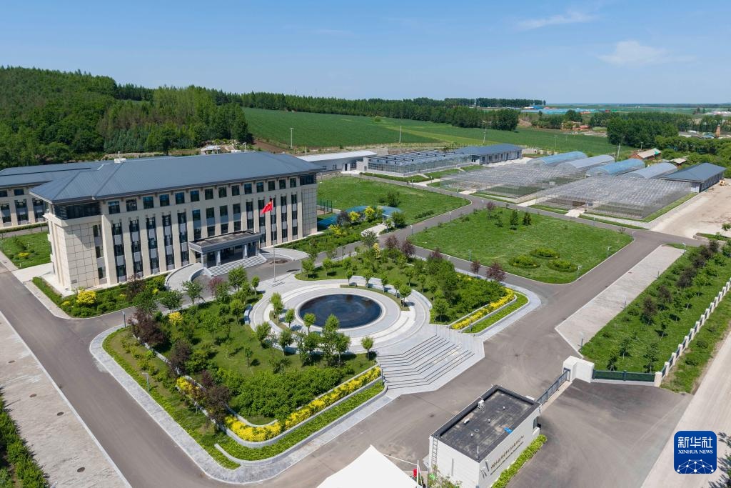 用科技守护黑土稻香——探访中国水稻研究所北方水稻研究中心 用科技守护黑土稻香——探访中国水稻研究所北方水稻研究中心