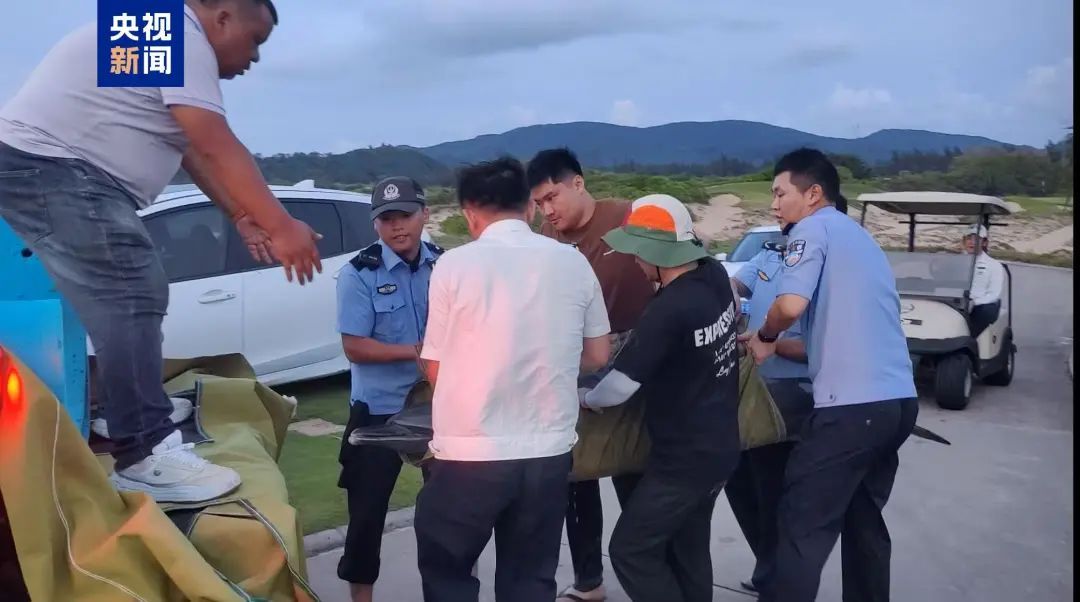 海南万宁一天内发现两头搁浅海豚,多方力量紧急救助 海南万宁一天内发现两头搁浅海豚,多方力量紧急救助
