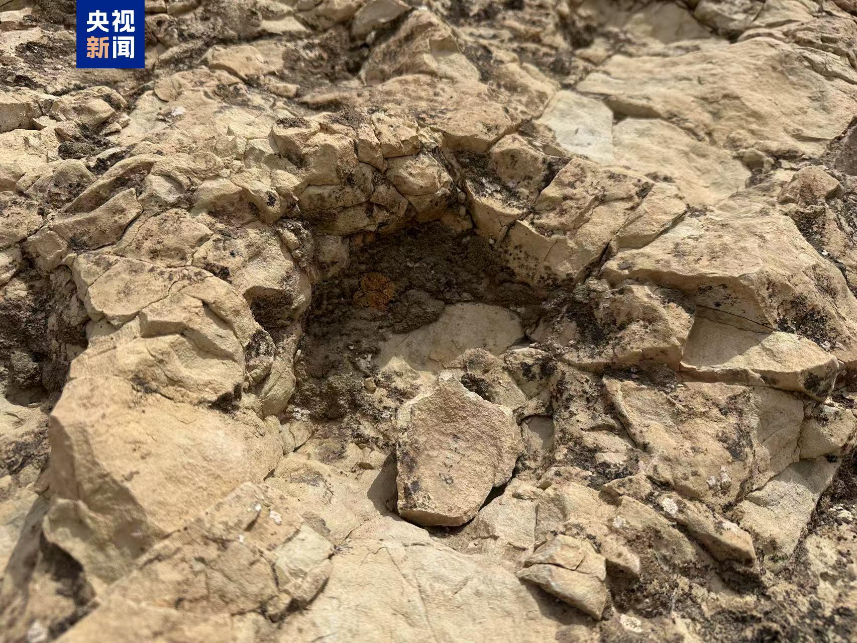 首次记录 宁夏中部发现蜥脚类恐龙大面积足迹群 首次记录 宁夏中部发现蜥脚类恐龙大面积足迹群