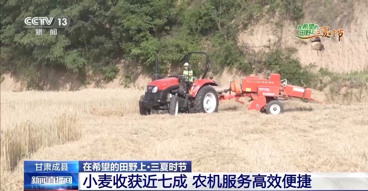 一看二数三称重四“统一” 解锁层层梯田上小麦的丰收密码 一看二数三称重四“统一” 解锁层层梯田上小麦的丰收密码