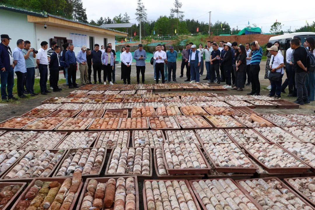 全国罕见!侏罗纪+白垩纪恐龙化石群,重庆同时拥有了! 全国罕见!侏罗纪+白垩纪恐龙化石群,重庆同时拥有了!