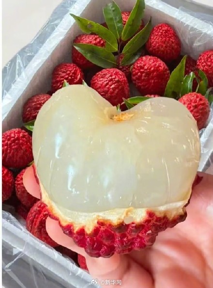 科学吃荔枝 避开荔枝病 科学吃荔枝 避开荔枝病