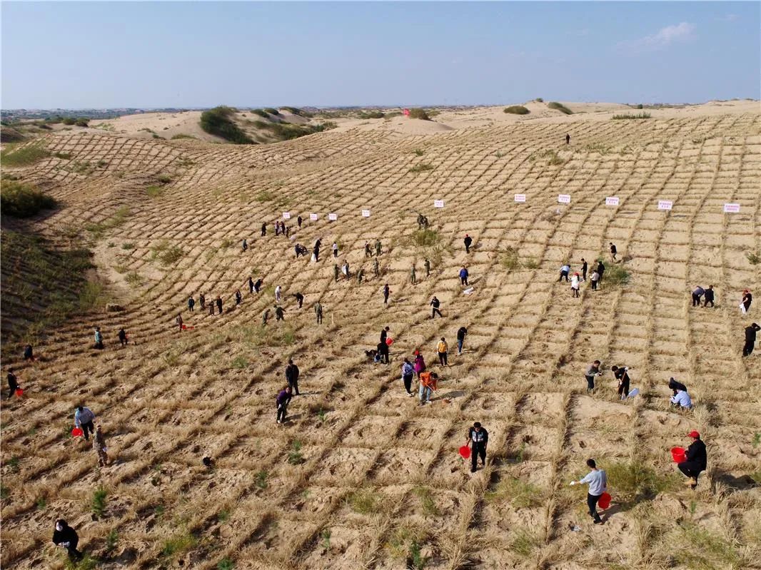 前5个月内蒙古完成防沙治沙900余万亩 前5个月内蒙古完成防沙治沙900余万亩