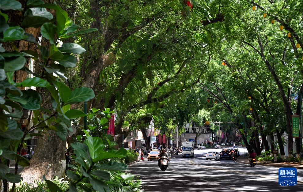 中国之城丨海南五指山：青山满目碧水萦绕的翡翠之城