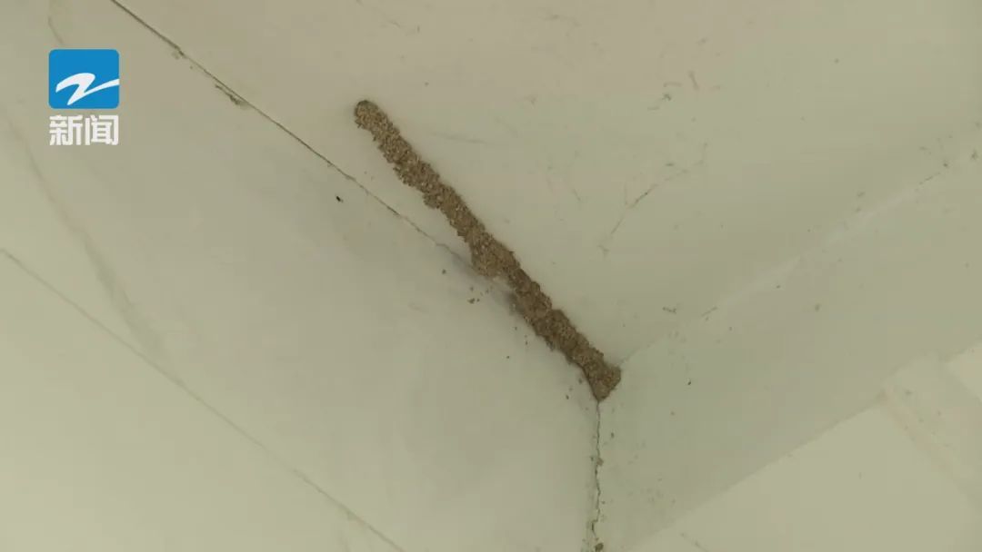 关窗!关窗!破坏力巨大!近期大量出现 关窗!关窗!破坏力巨大!近期大量出现