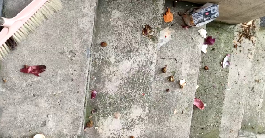 汁水横流、一片狼藉!楼上频繁深夜“空投”垃圾,贵阳大姐崩溃:有家难回! 汁水横流、一片狼藉!楼上频繁深夜“空投”垃圾,贵阳大姐崩溃:有家难回!