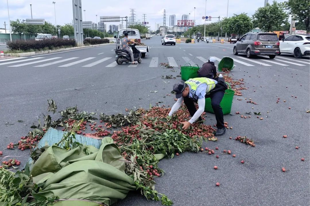 百斤荔枝散落在车流中，司机愣了，幸好有他们！