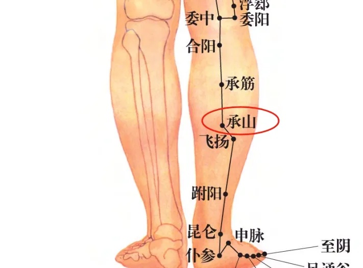每天按一按这个祛湿最强穴，健脾散淤！