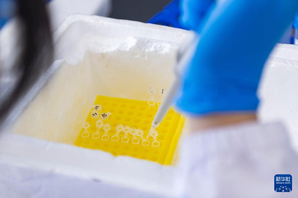 用科技守护黑土稻香——探访中国水稻研究所北方水稻研究中心 用科技守护黑土稻香——探访中国水稻研究所北方水稻研究中心