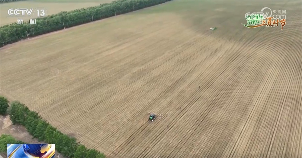 希望的田野智“绘”好“丰”景 “三夏”生产向“新”而行