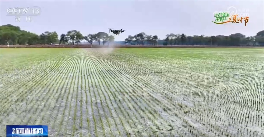 希望的田野智“绘”好“丰”景 “三夏”生产向“新”而行