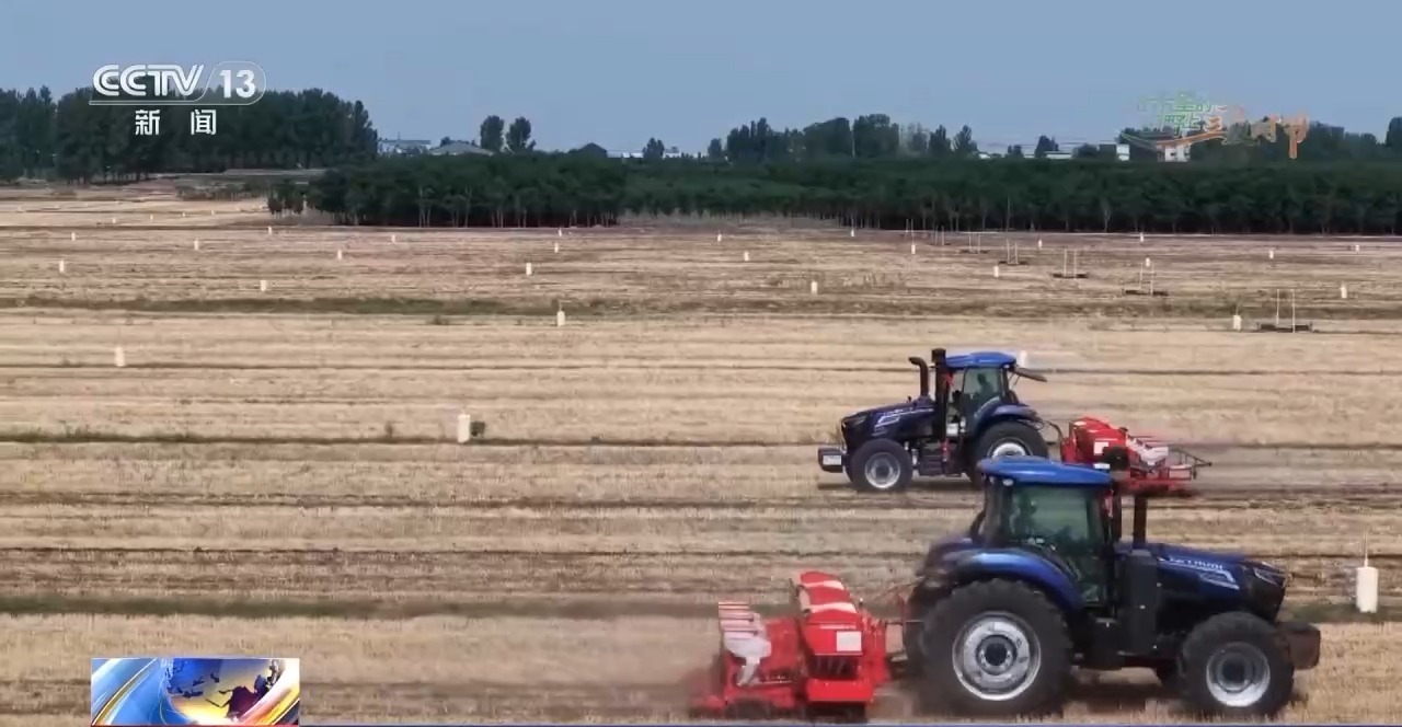 一看二数三称重四“统一” 解锁层层梯田上小麦的丰收密码 一看二数三称重四“统一” 解锁层层梯田上小麦的丰收密码