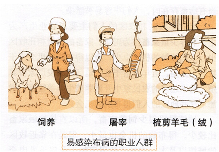 4岁男孩发烧一整年，元凶竟是一杯奶！后果严重，潜伏期极长
