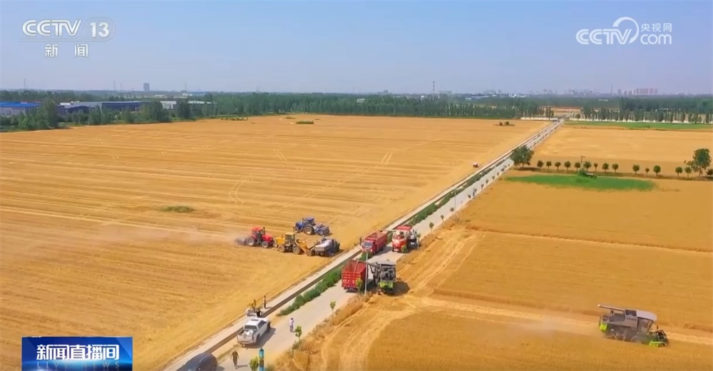 更实、更细、更“智慧” 气象服务护航“三夏”保障夏粮丰收归仓 更实、更细、更“智慧” 气象服务护航“三夏”保障夏粮丰收归仓