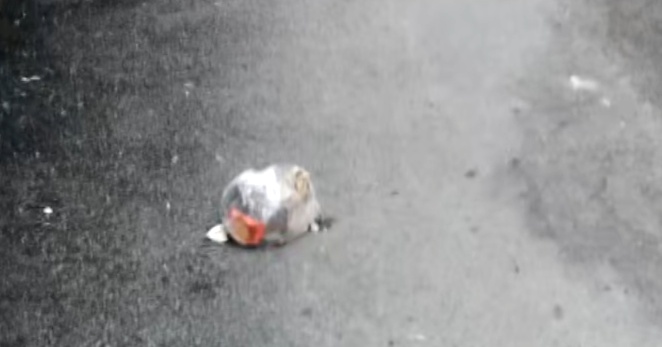 汁水横流、一片狼藉!楼上频繁深夜“空投”垃圾,贵阳大姐崩溃:有家难回! 汁水横流、一片狼藉!楼上频繁深夜“空投”垃圾,贵阳大姐崩溃:有家难回!