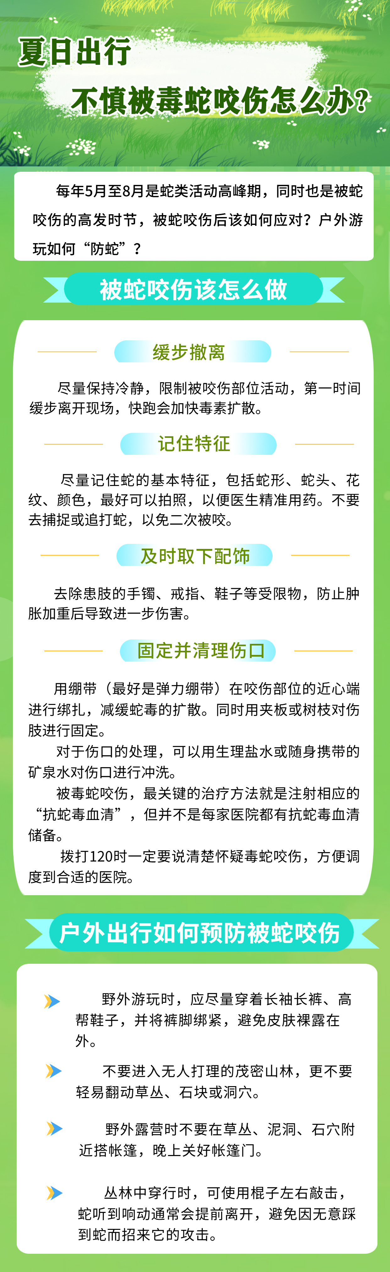 夏日出行，不慎被毒蛇咬伤怎么办?