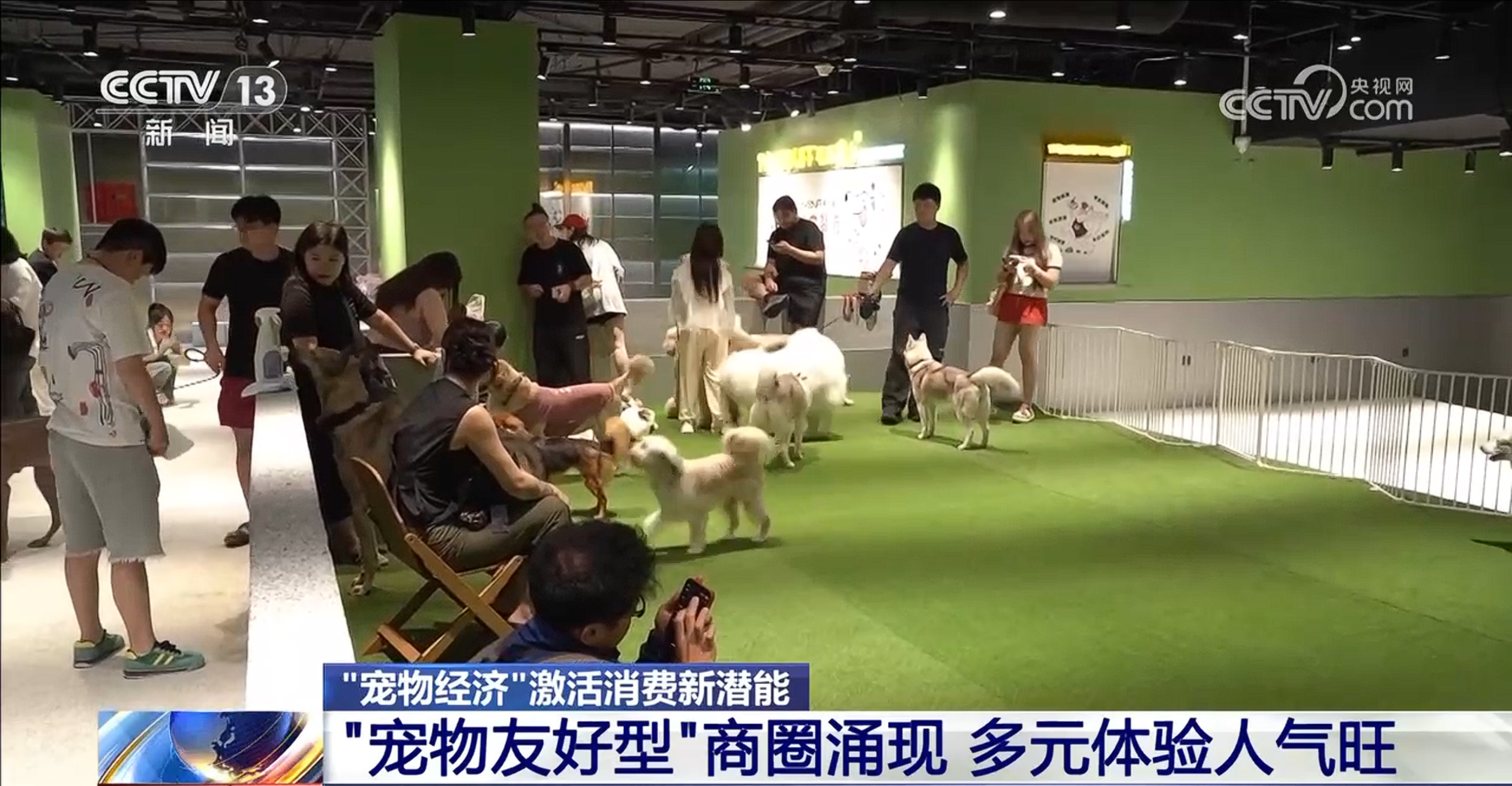 @爱宠人士 出行游玩全升级 快来开启“携宠出行”新体验 @爱宠人士 出行游玩全升级 快来开启“携宠出行”新体验