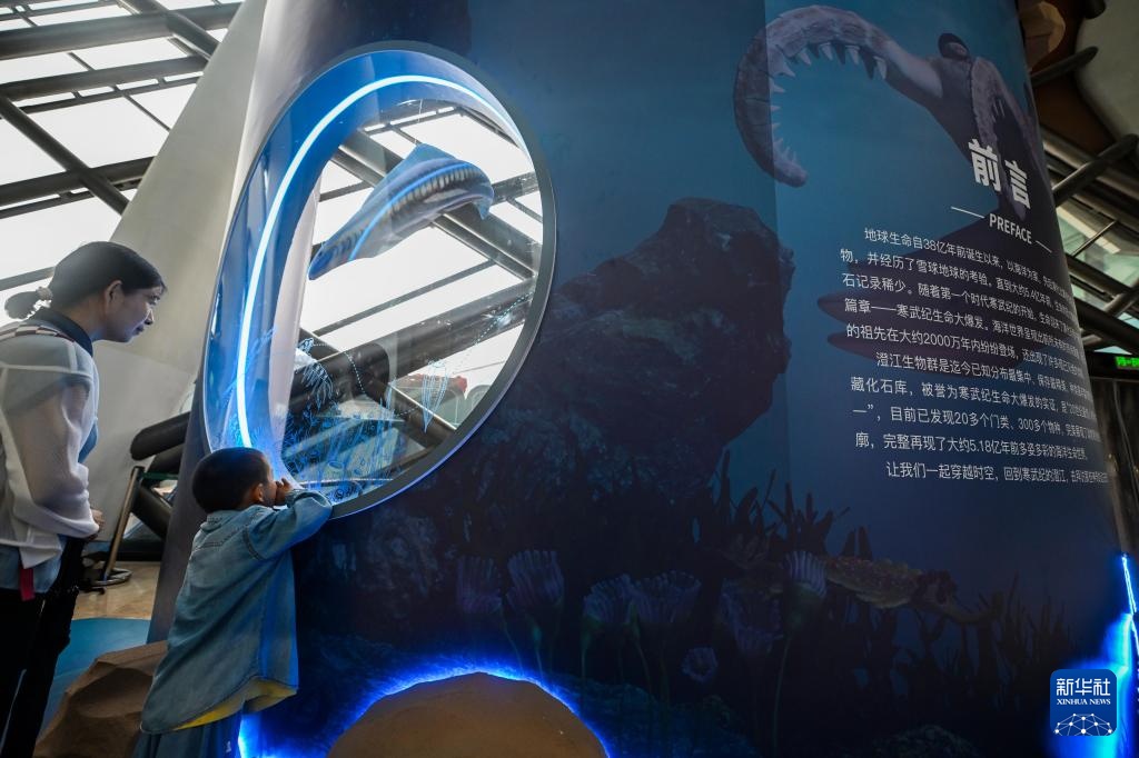 澄江古生物化石亮相国家海洋博物馆