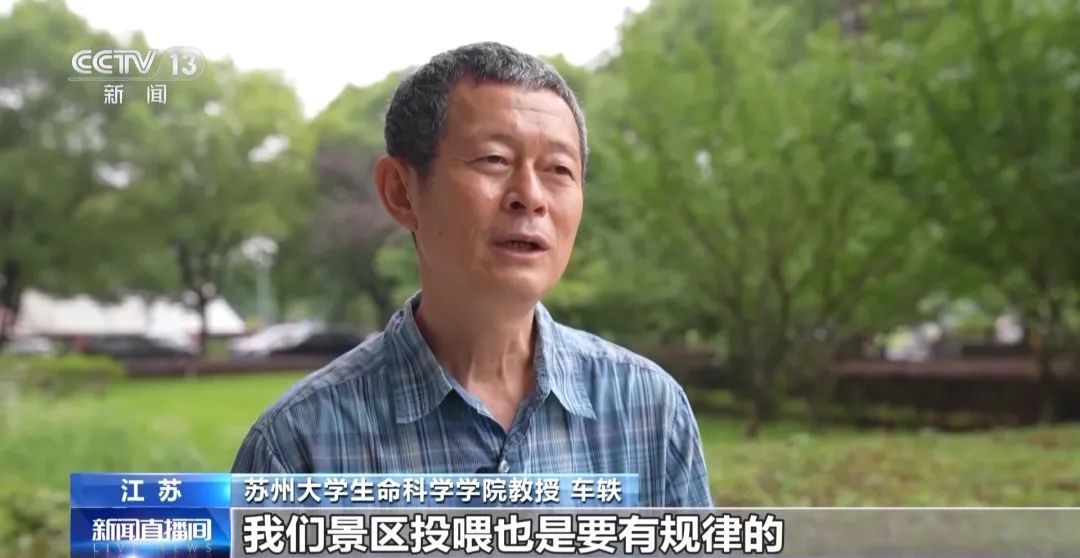 景区“月均6万元收编泼猴”引关注“人猴冲突”如何解决？