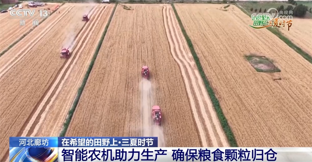 希望的田野智“绘”好“丰”景 “三夏”生产向“新”而行