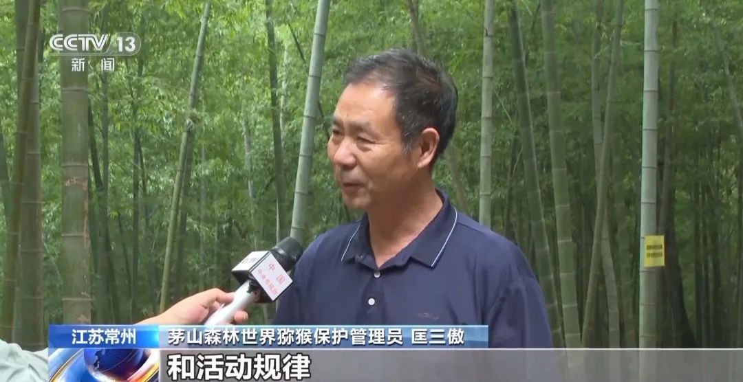 景区“月均6万元收编泼猴”引关注“人猴冲突”如何解决？