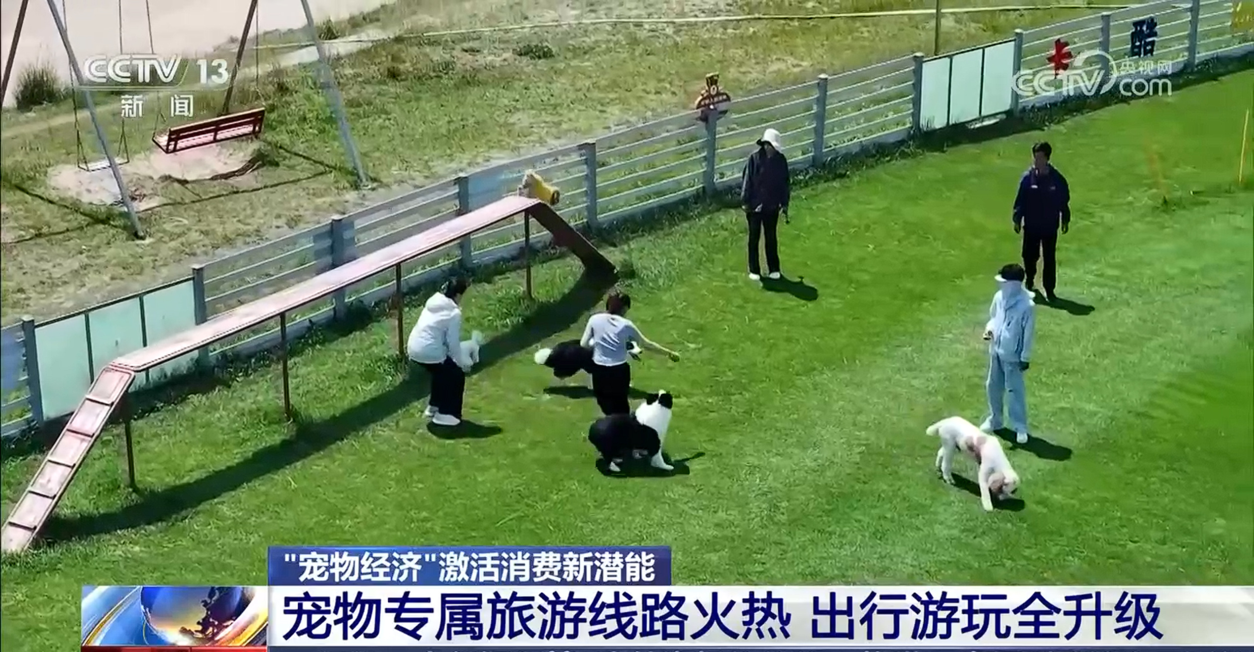 @爱宠人士 出行游玩全升级 快来开启“携宠出行”新体验 @爱宠人士 出行游玩全升级 快来开启“携宠出行”新体验