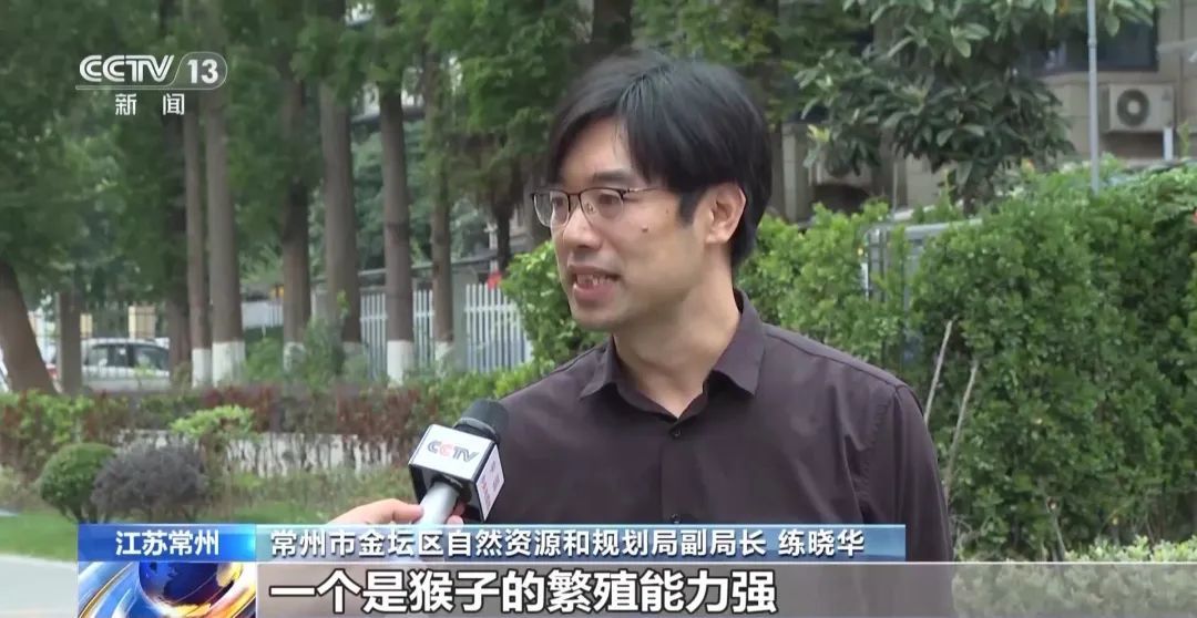 景区“月均6万元收编泼猴”引关注“人猴冲突”如何解决？