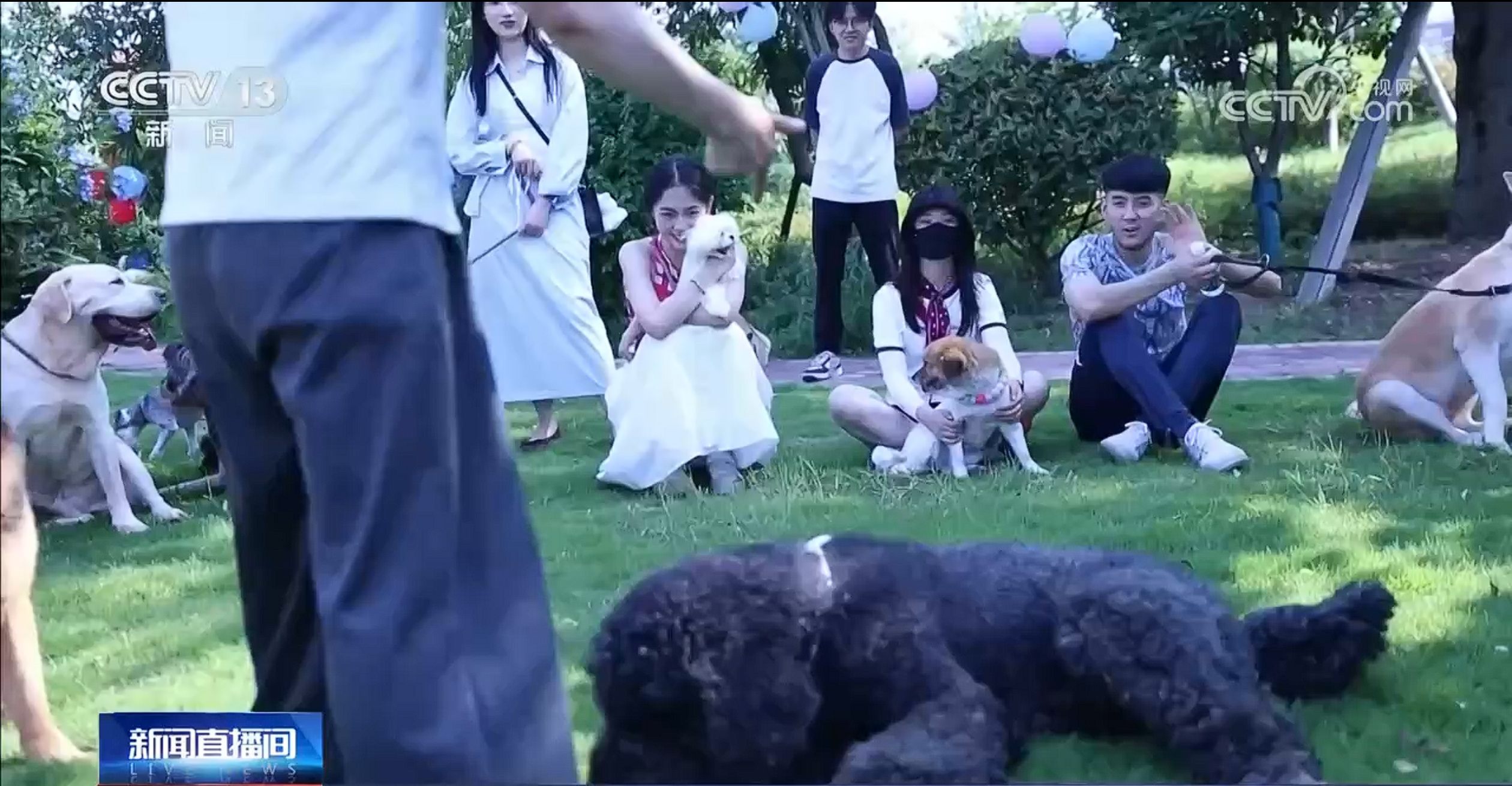 @爱宠人士 出行游玩全升级 快来开启“携宠出行”新体验 @爱宠人士 出行游玩全升级 快来开启“携宠出行”新体验