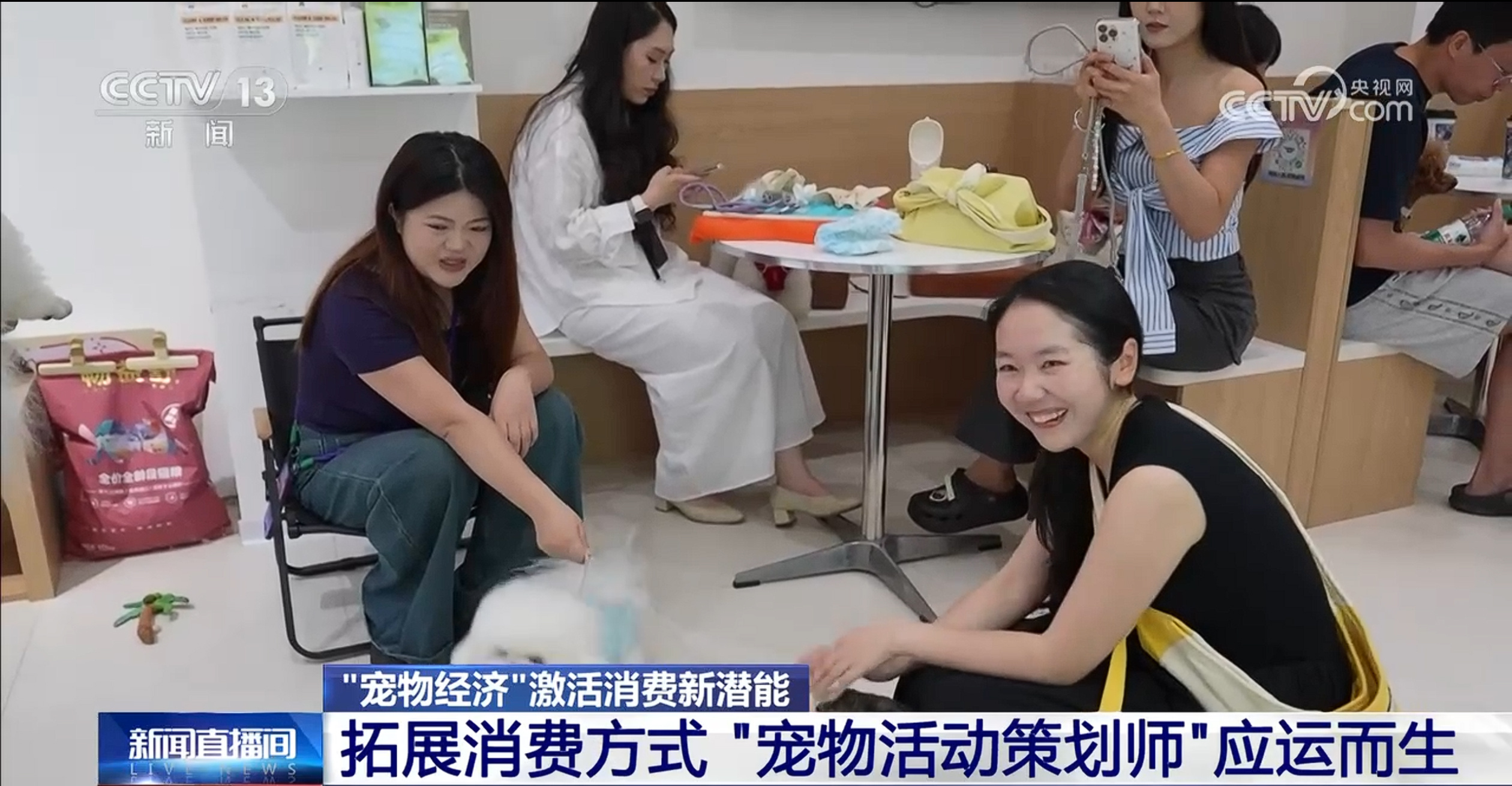 @爱宠人士 出行游玩全升级 快来开启“携宠出行”新体验 @爱宠人士 出行游玩全升级 快来开启“携宠出行”新体验