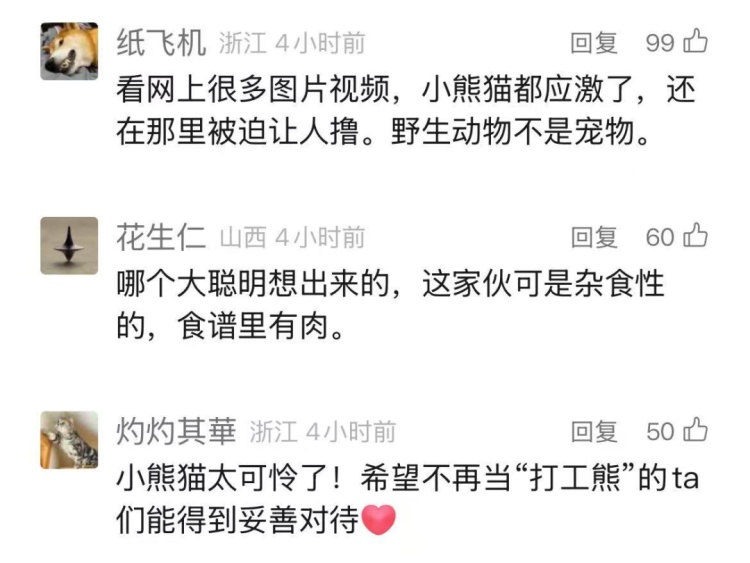 3000元/晚的酒店, 这项服务被紧急叫停! 有人在房内被咬伤……