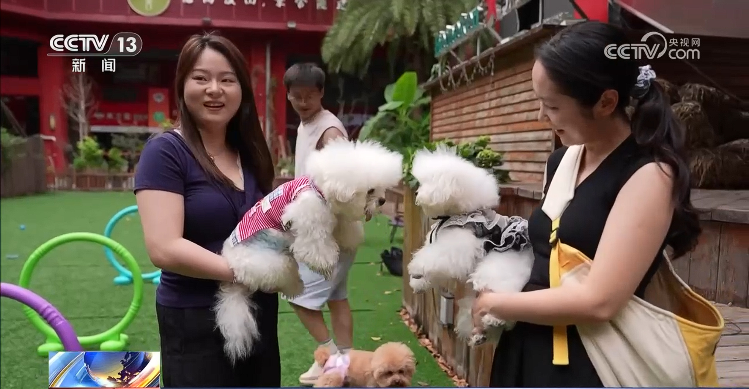 @爱宠人士 出行游玩全升级 快来开启“携宠出行”新体验 @爱宠人士 出行游玩全升级 快来开启“携宠出行”新体验