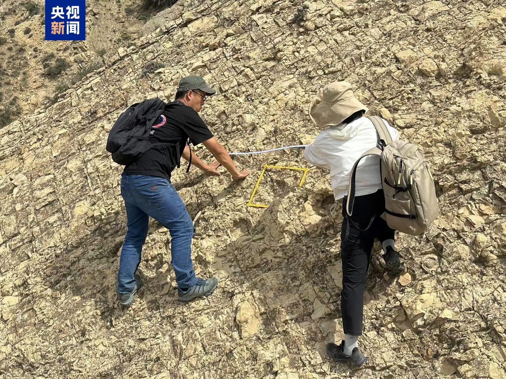 首次记录 宁夏中部发现蜥脚类恐龙大面积足迹群 首次记录 宁夏中部发现蜥脚类恐龙大面积足迹群