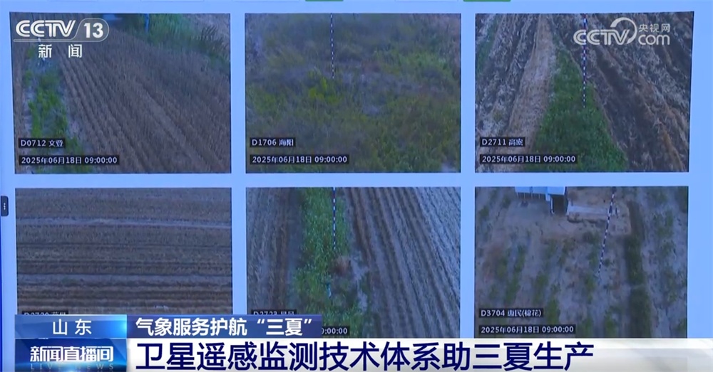 更实、更细、更“智慧” 气象服务护航“三夏”保障夏粮丰收归仓 更实、更细、更“智慧” 气象服务护航“三夏”保障夏粮丰收归仓