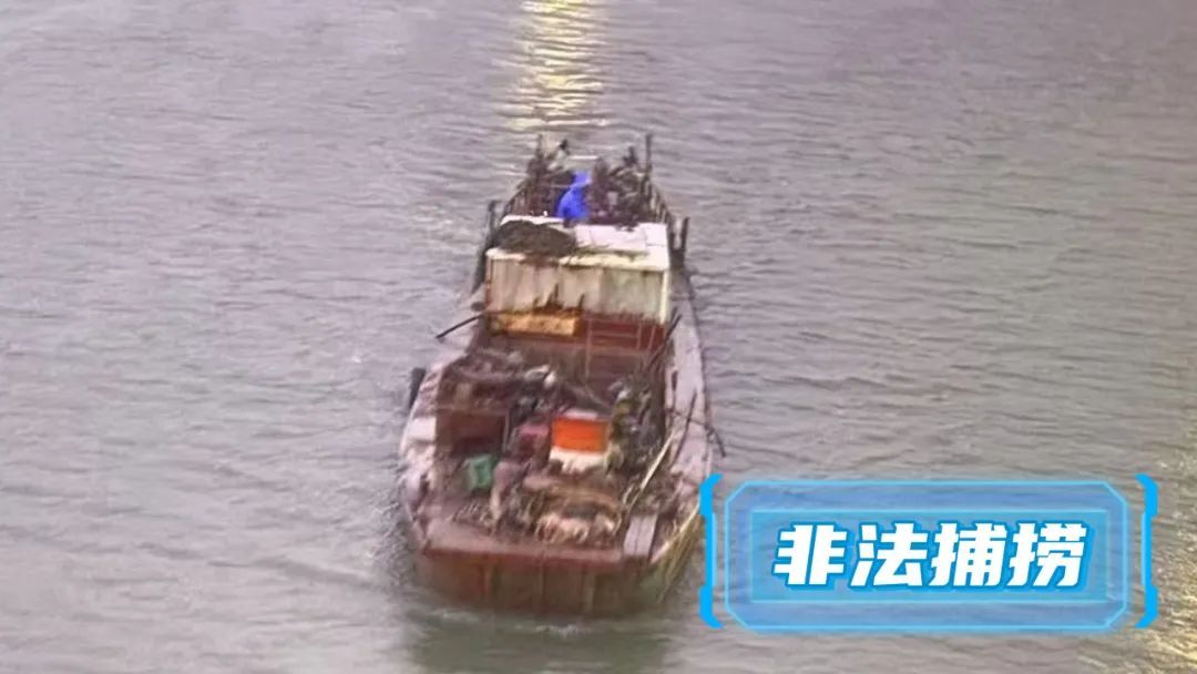 现实版“竭泽而渔” 狂捞8.45吨!上海警方破获特大非法捕捞案 现实版“竭泽而渔” 狂捞8.45吨!上海警方破获特大非法捕捞案