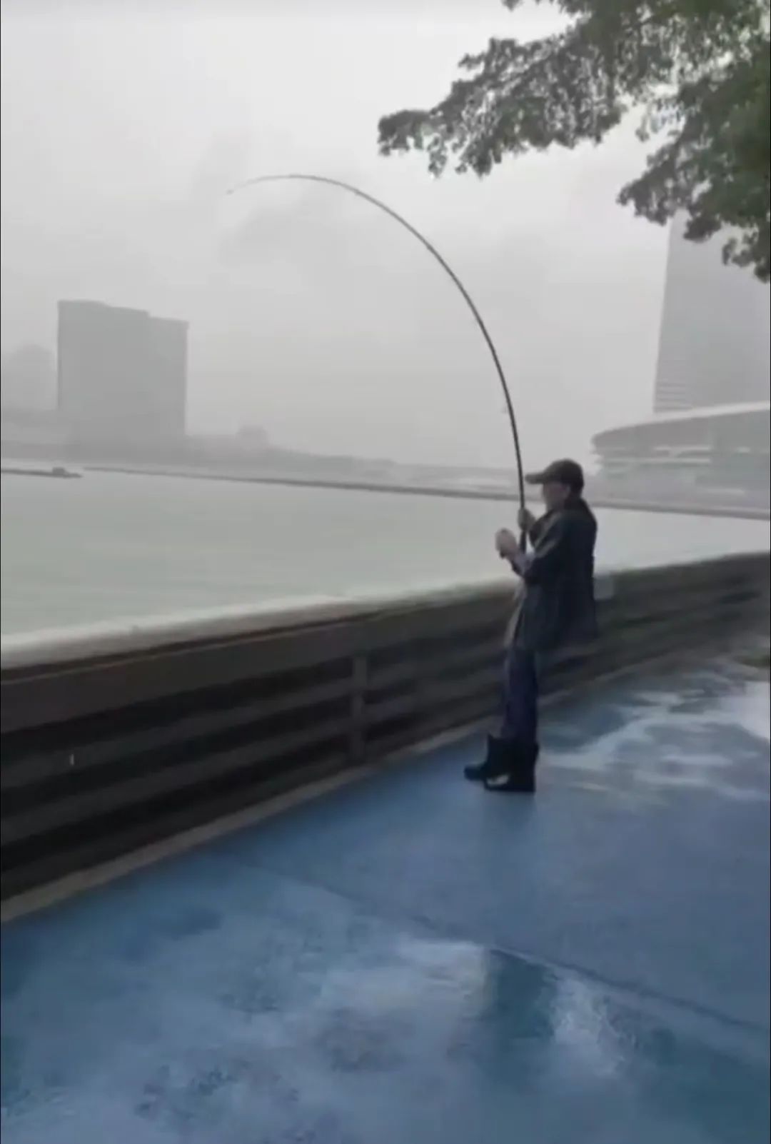 厦门一男子钓到了72斤重的石斑鱼,被人3000元买走,网友炸锅了...... 厦门一男子钓到了72斤重的石斑鱼,被人3000元买走,网友炸锅了......