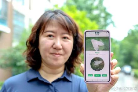 北京推出“拍照识虫”小程序2.0版本,市民可上报美国白蛾线索 北京推出“拍照识虫”小程序2.0版本,市民可上报美国白蛾线索