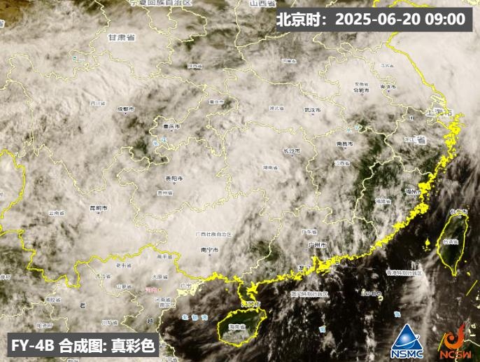 今年梅雨季全面开启!如何应对和防御? 今年梅雨季全面开启!如何应对和防御?