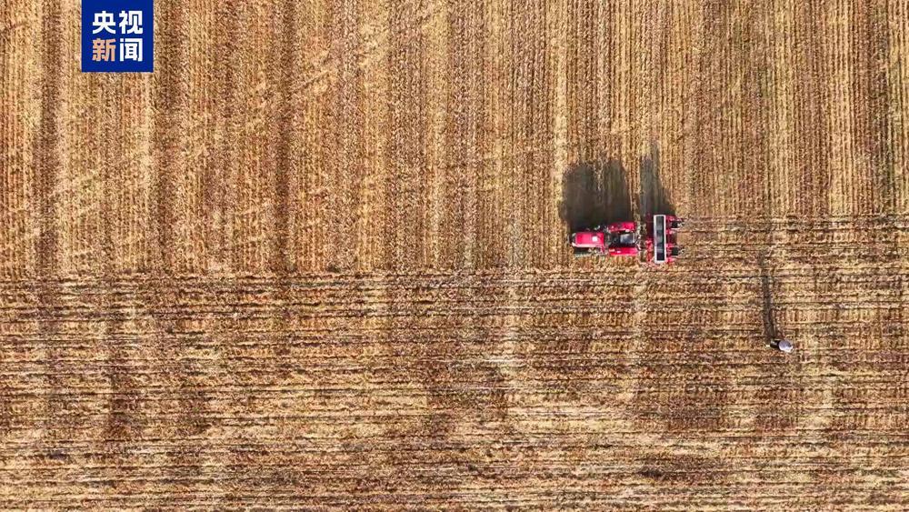 累计播种面积8821万亩 河南夏播基本结束 累计播种面积8821万亩 河南夏播基本结束