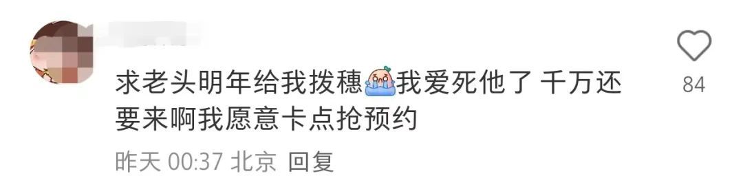 6旬校长,硬核拨穗11+13小时! 6旬校长,硬核拨穗11+13小时!