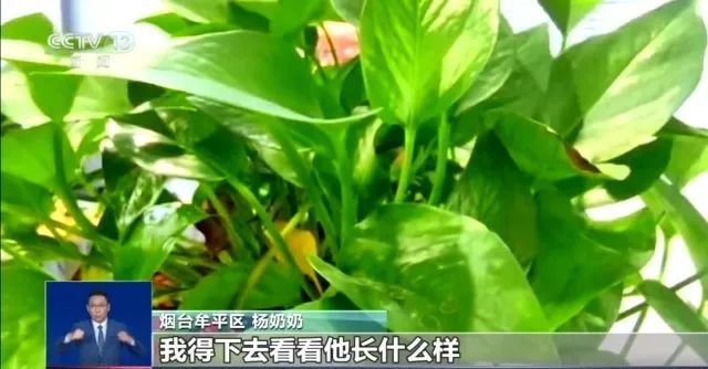 骗子被山东奶奶“三连杀”，最后进了派出所