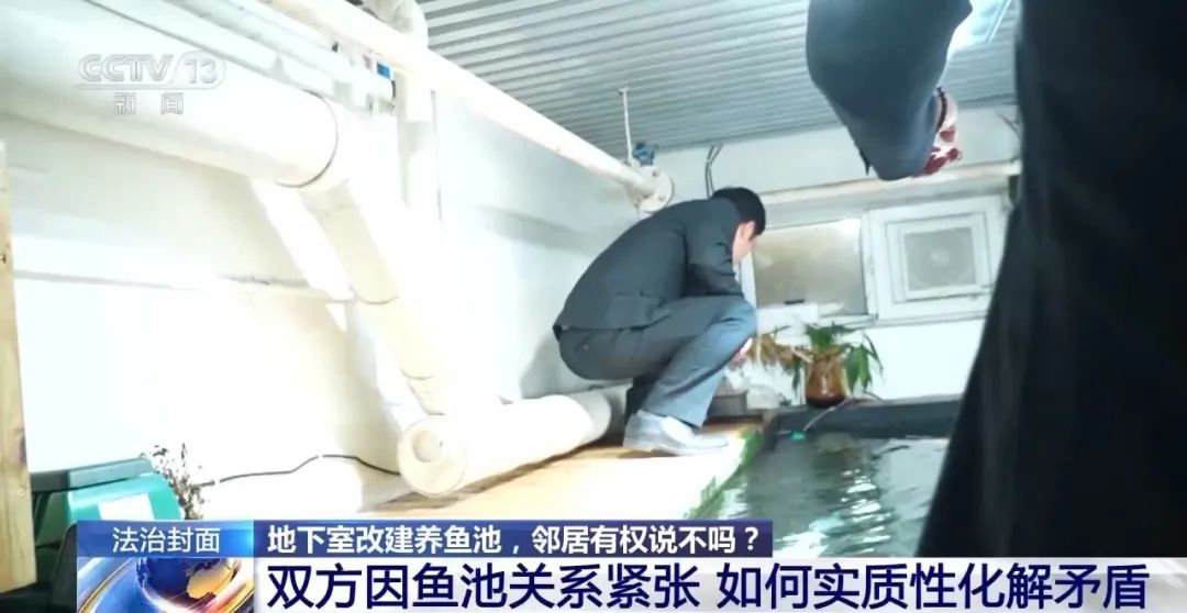 被锦鲤“整疯”!男子将地下室改成大鱼池惹怒邻居 被锦鲤“整疯”!男子将地下室改成大鱼池惹怒邻居
